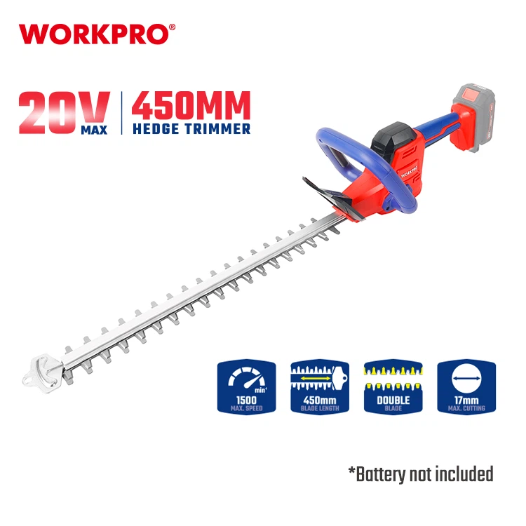 WP391613-1 WP391613-1